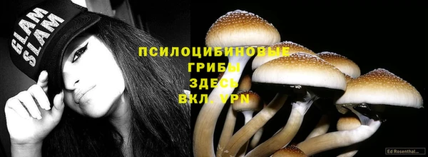 твердый Нефтекумск