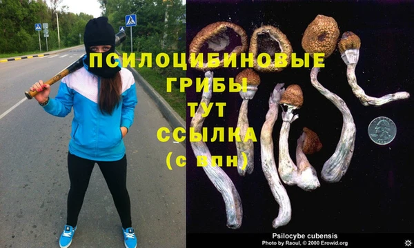 твердый Нефтекумск