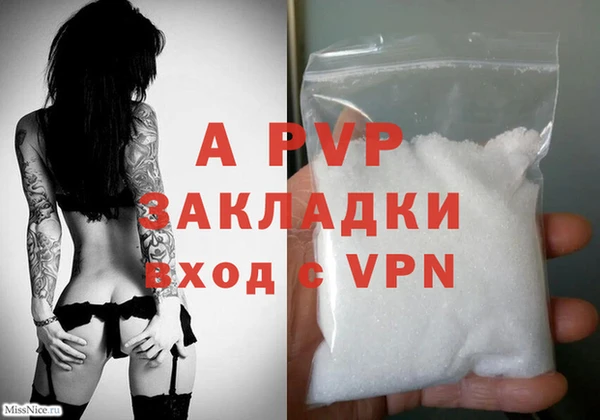 ECSTASY Нея