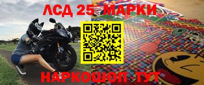 стафф Гай