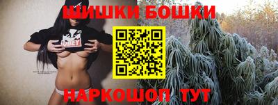 стафф Гай