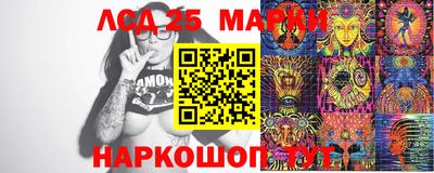 стафф Гай