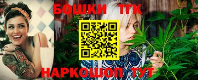 стафф Гай