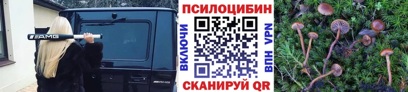 Галлюциногенные грибы мицелий  как найти закладки  блэк спрут   Зеленокумск 
