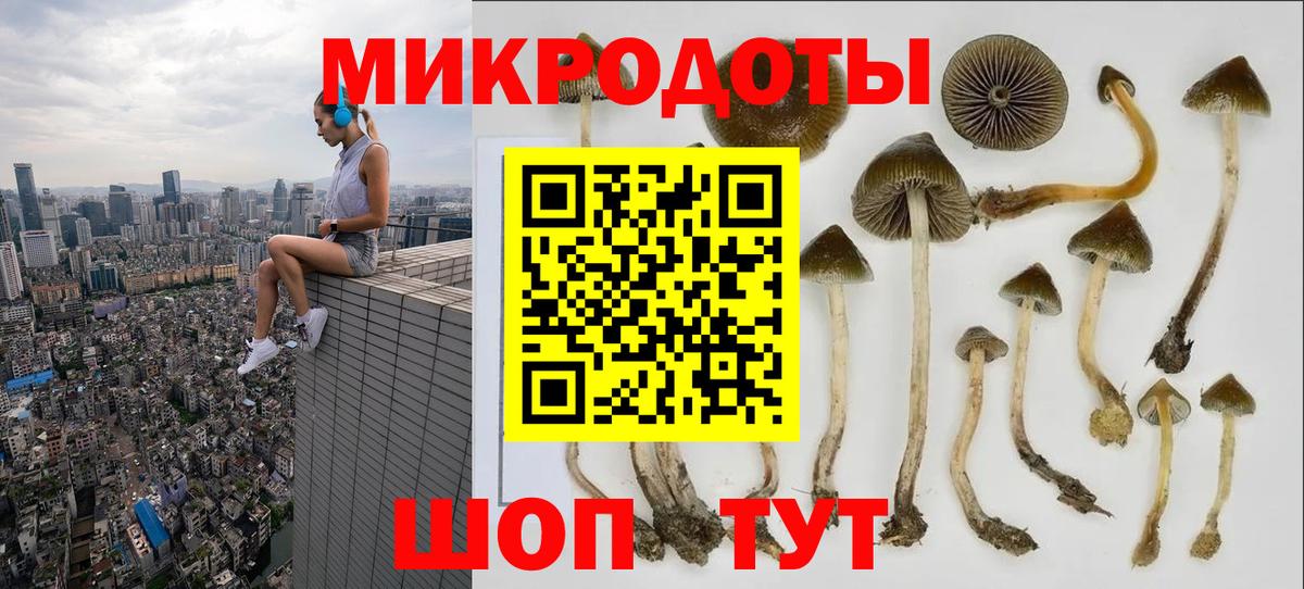 Галлюциногенные грибы MAGIC MUSHROOMS Зеленокумск