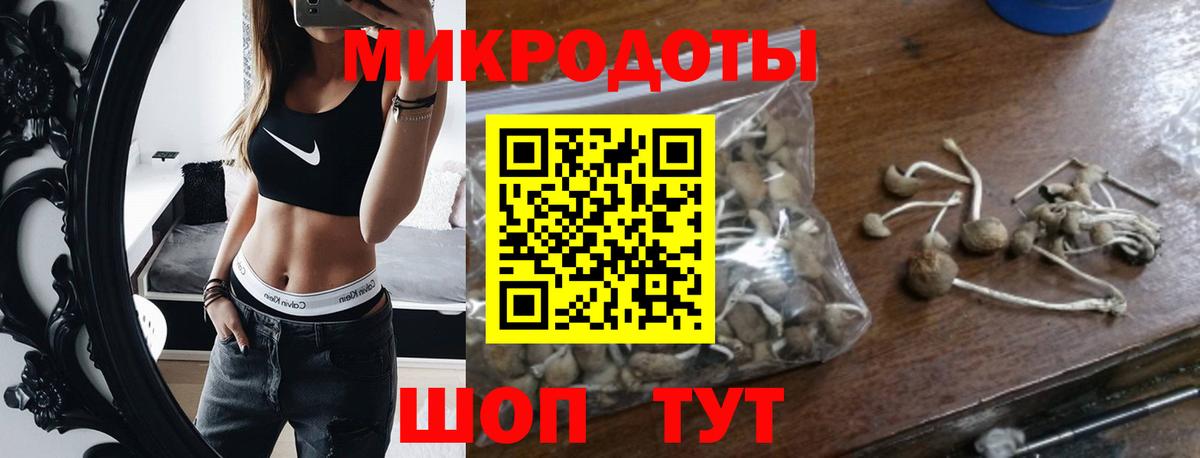 Псилоцибиновые грибы Psilocybe  Зеленокумск  Галлюциногенные грибы Magic Shrooms 